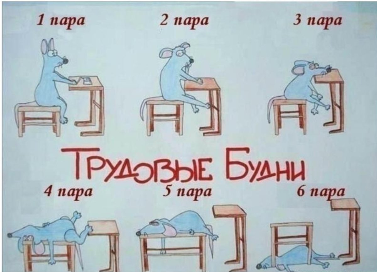 Шутки про учебу в школе