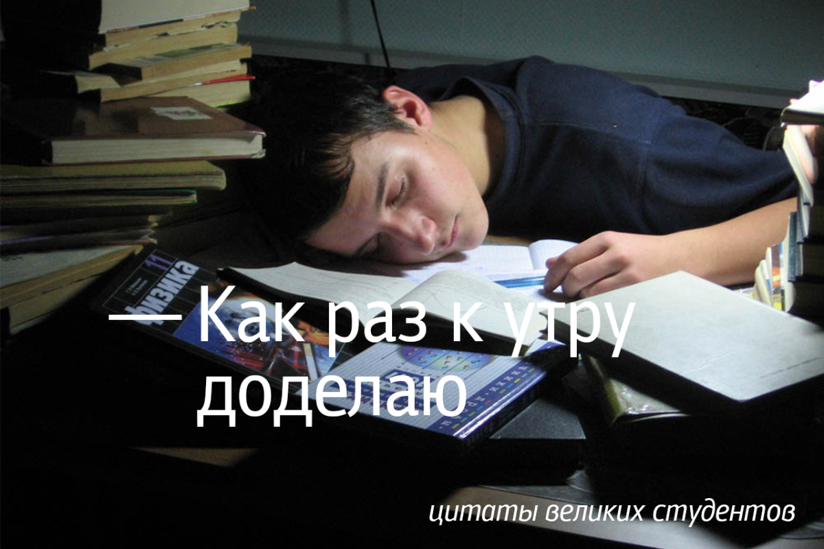 Цитаты про студентов