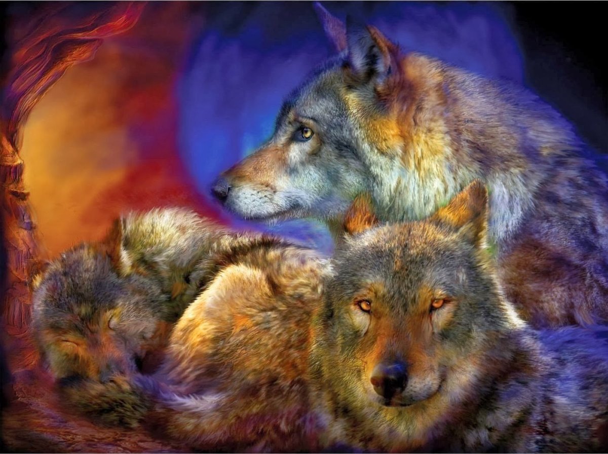 Кэрол Каваларис волки