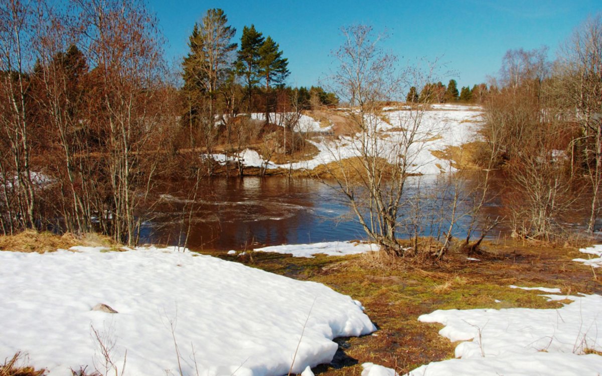 Ранняя Весна 1956