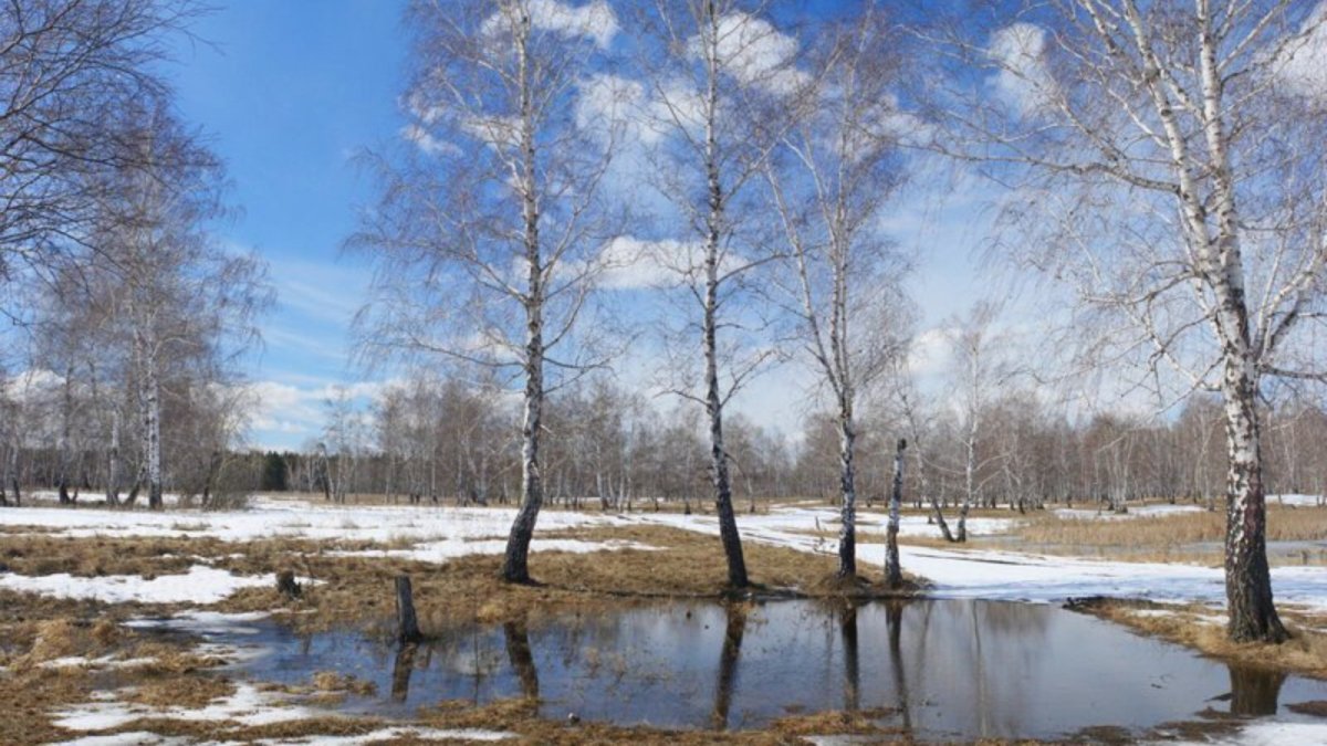 Март природа город