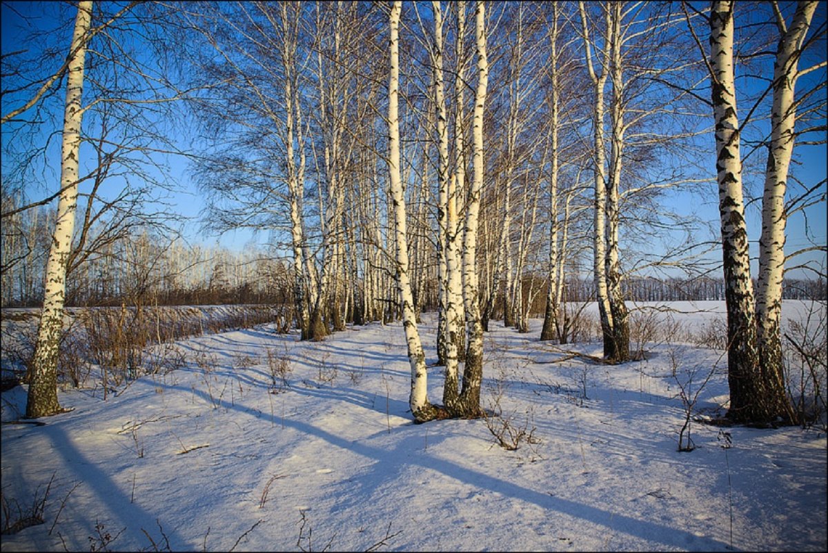 Весенний пейзаж фото простой