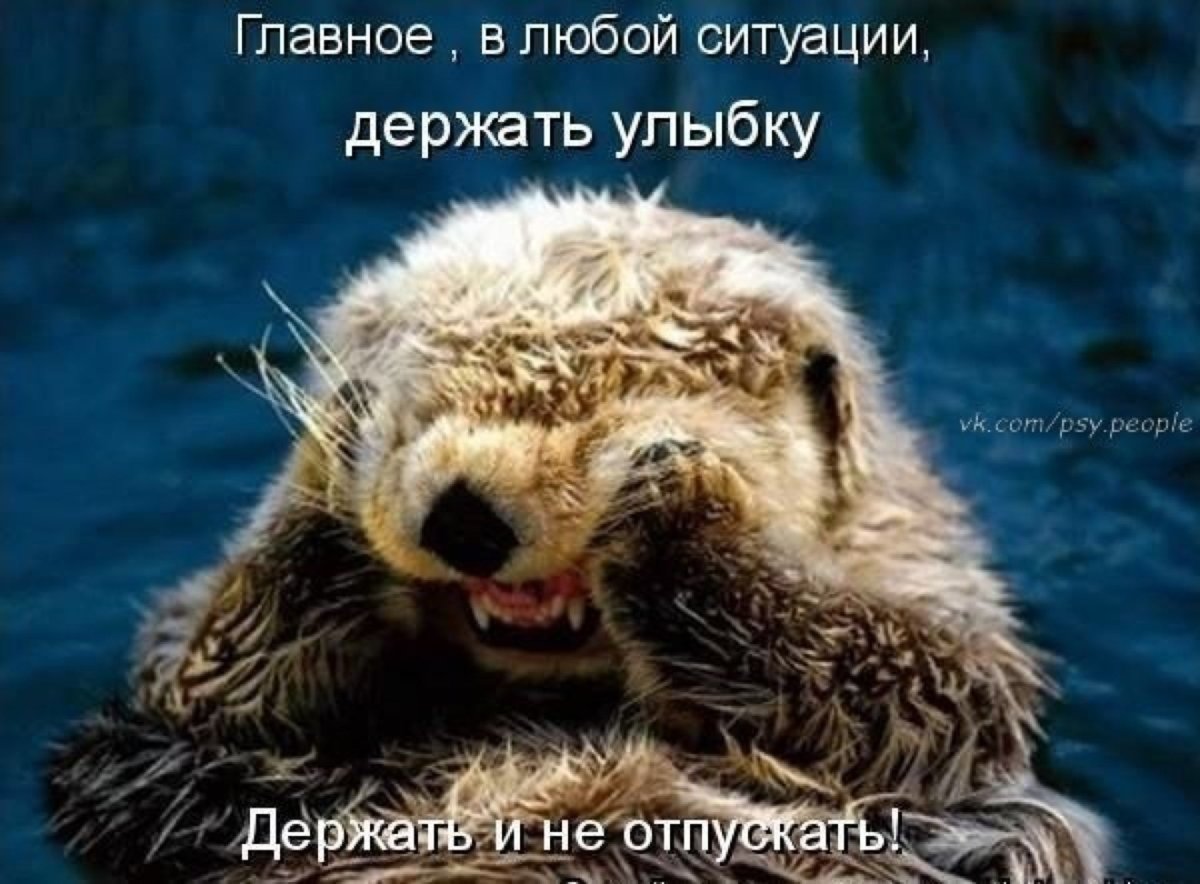 Улыбаться в любой ситуации