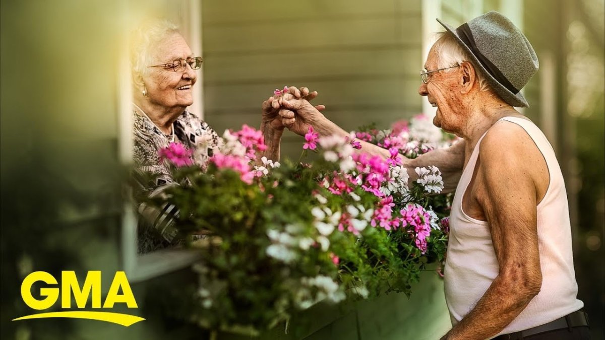 Позитивные старики