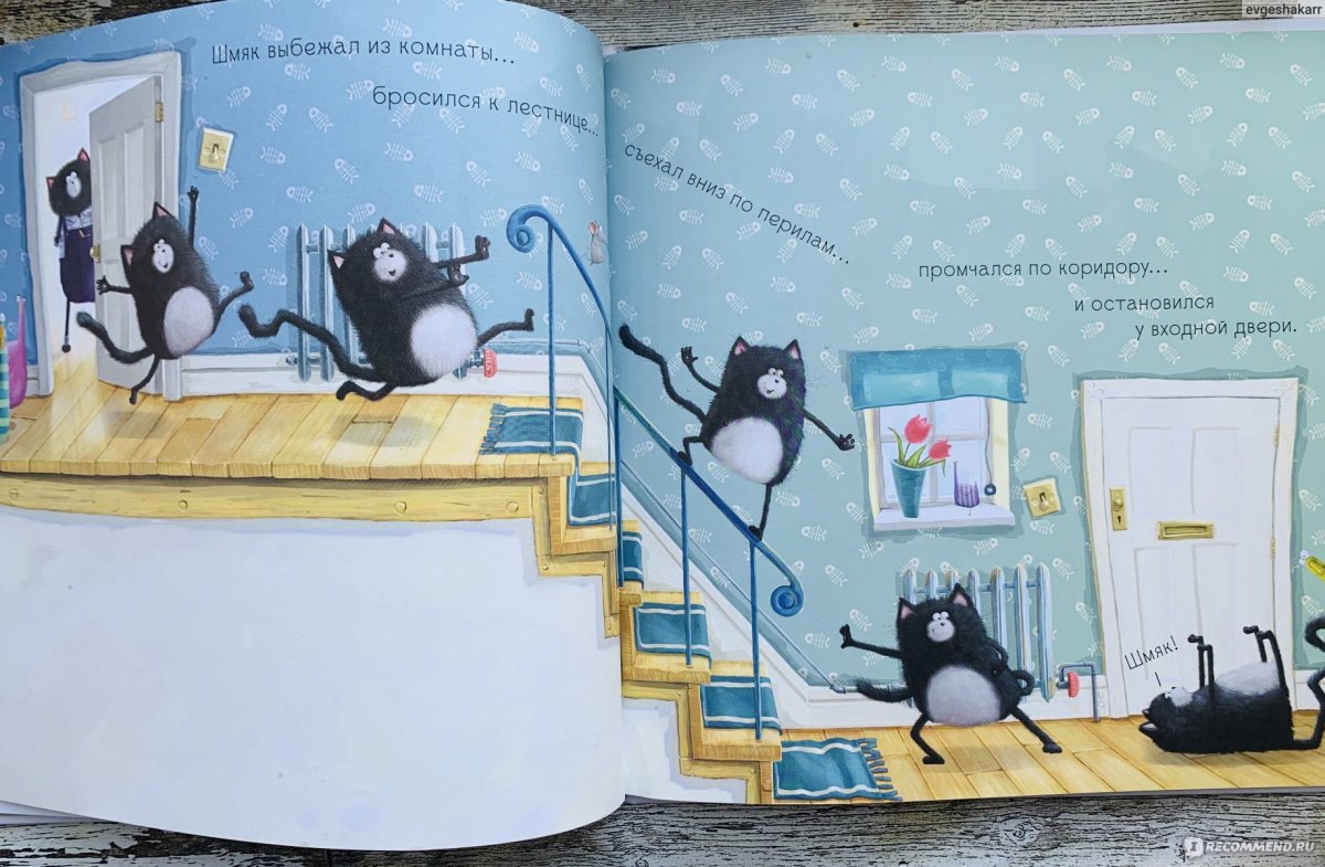 Котенок Шмяк 1 книга