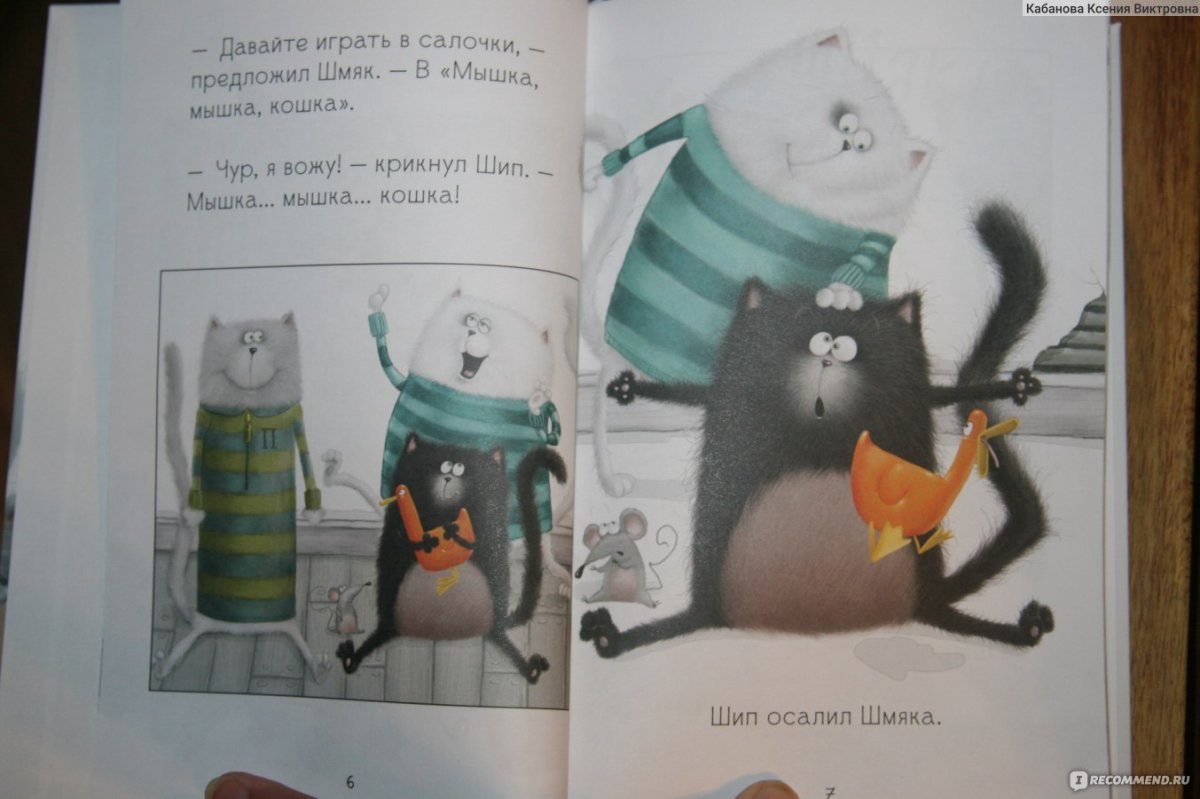 Серия книг котенок Шмяк