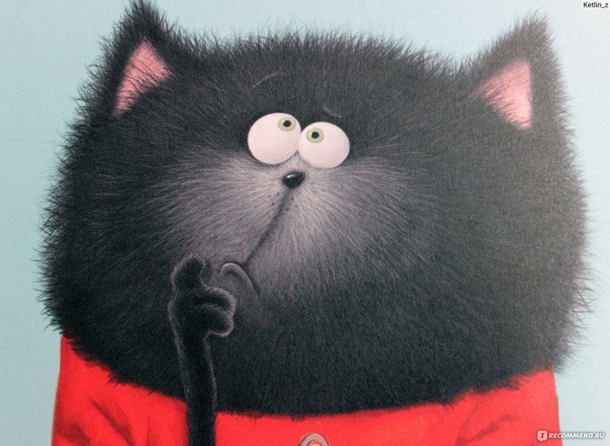 Скоттон Роб "с любовью, Шмяк!"