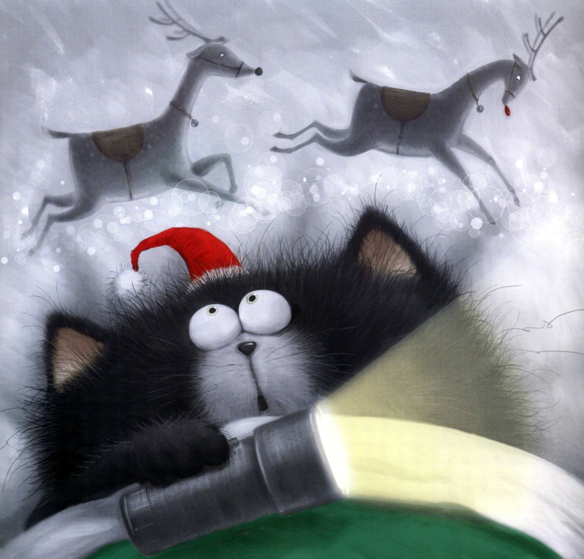 Скоттон Роб "Шмяк и пингвины"