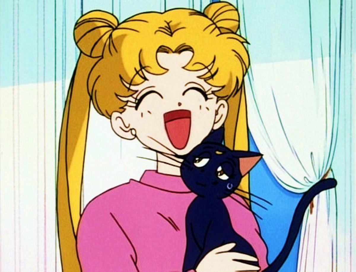 Сейлормун Эстетика