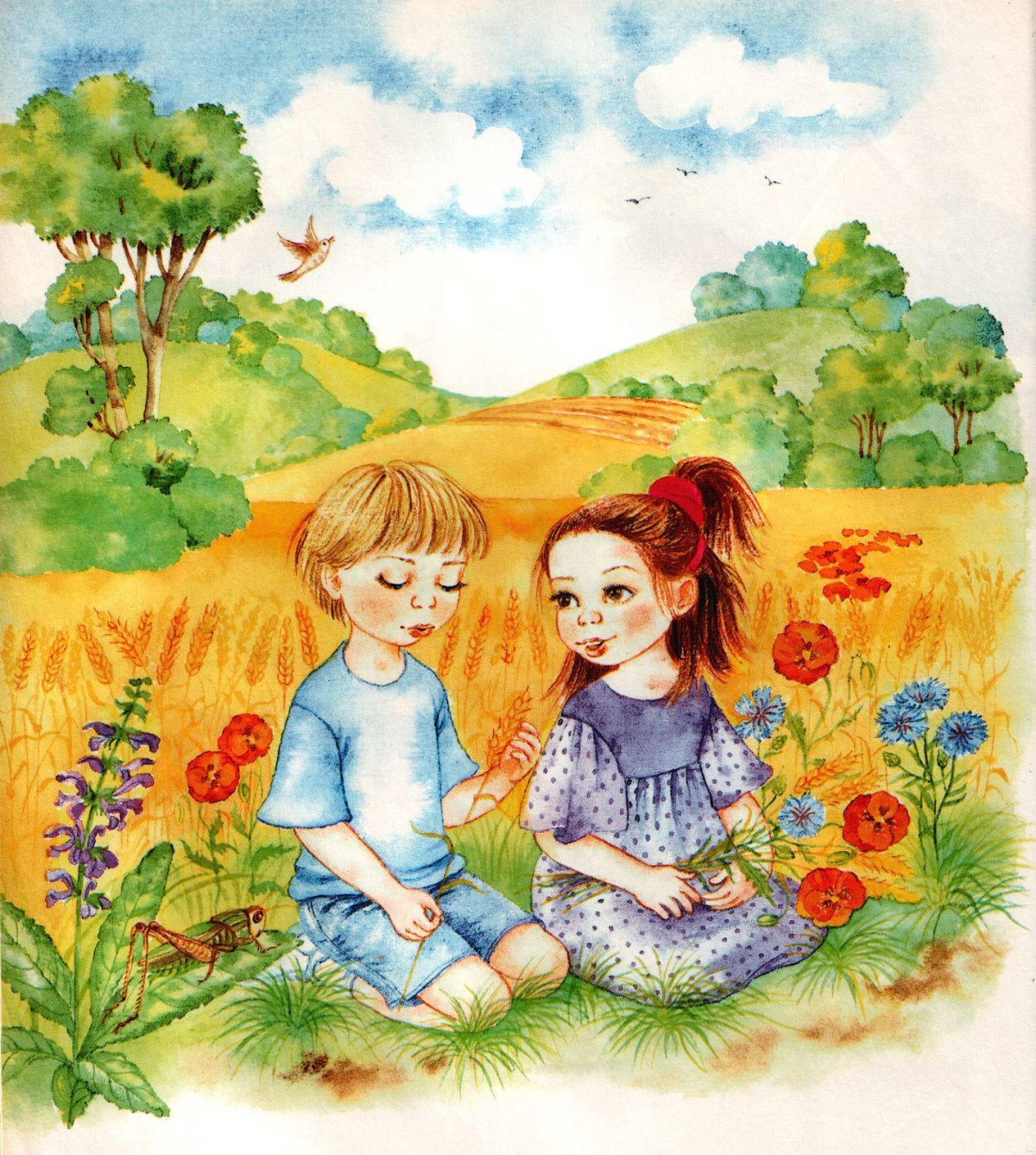 Сюжетные картинки