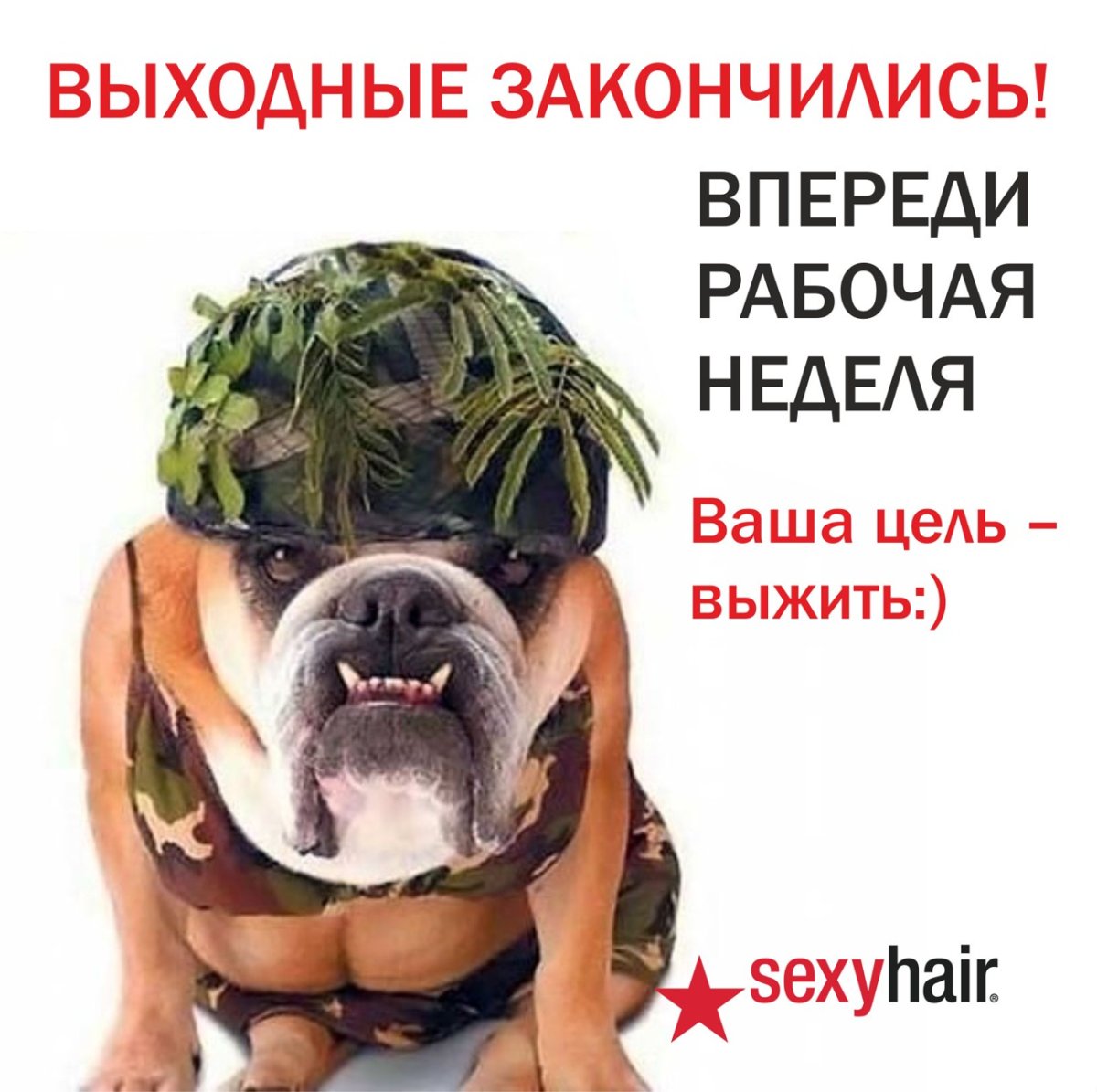 Прикольные поздравления с 1 рабочим днем