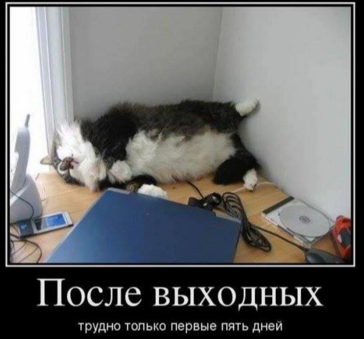 Смешные картинки про рабочий день