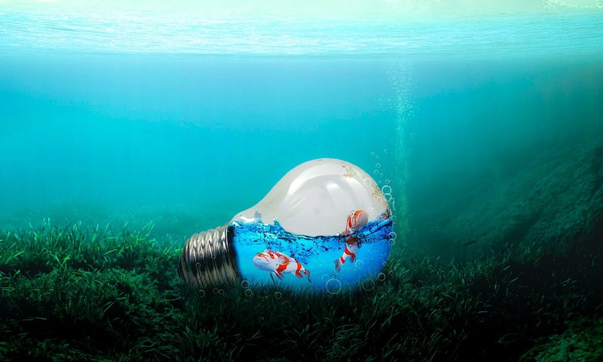 Загрязнение морей и океанов