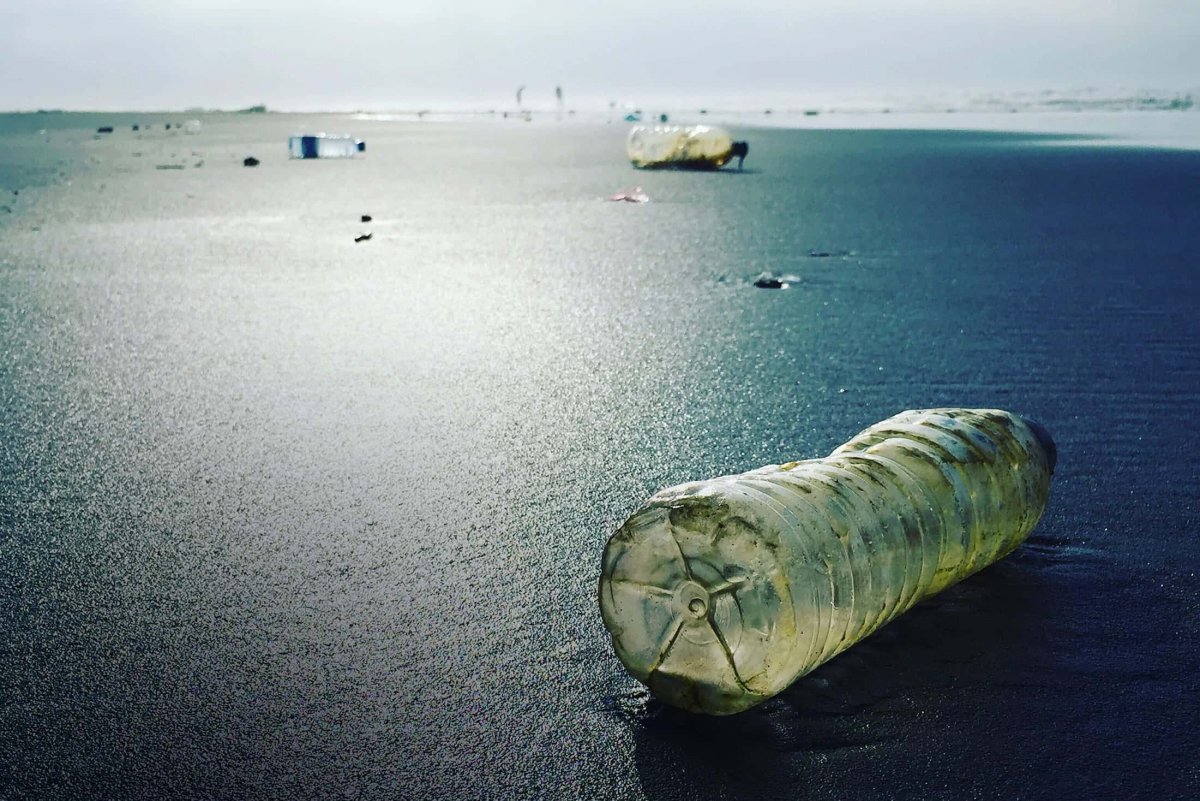 Загрязнение морей и океанов