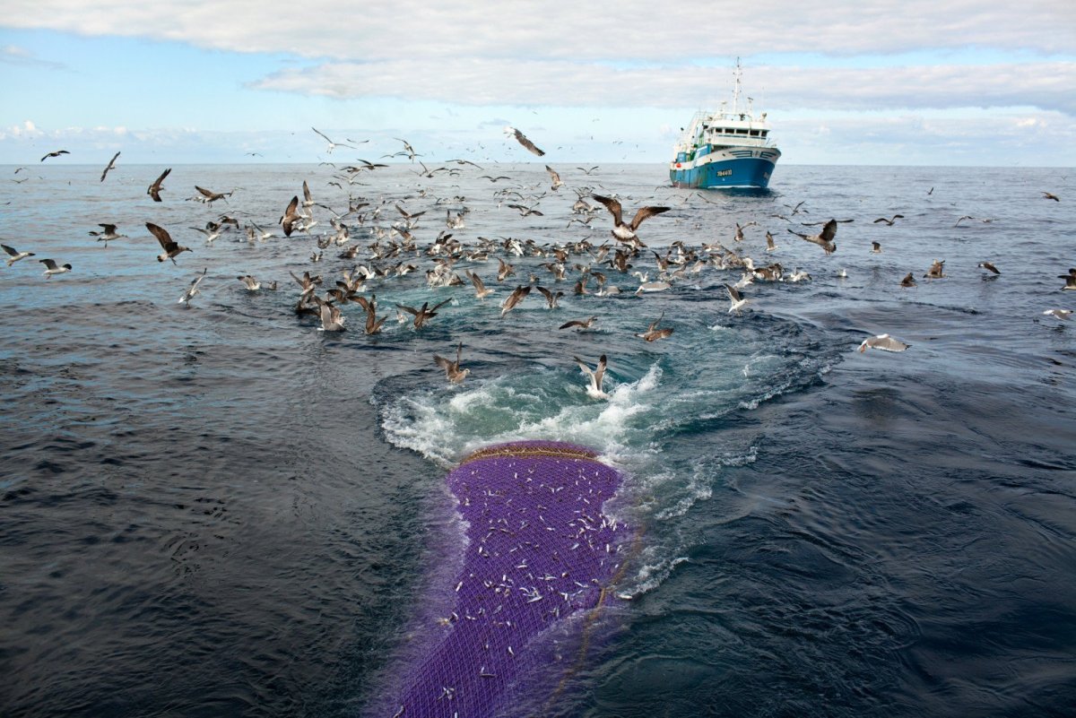 Рыболовство в Северном Ледовитом океане