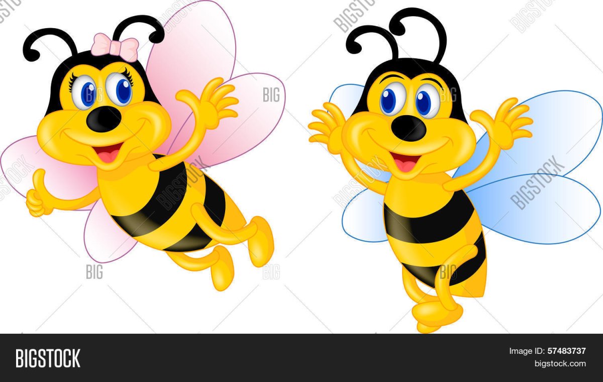 Пчёлки в поварском колпаке для детей