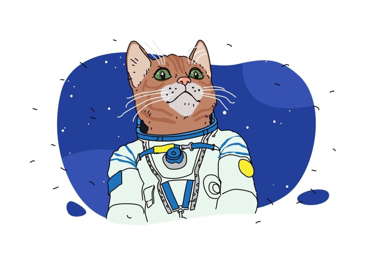 Коты космонавты вектор