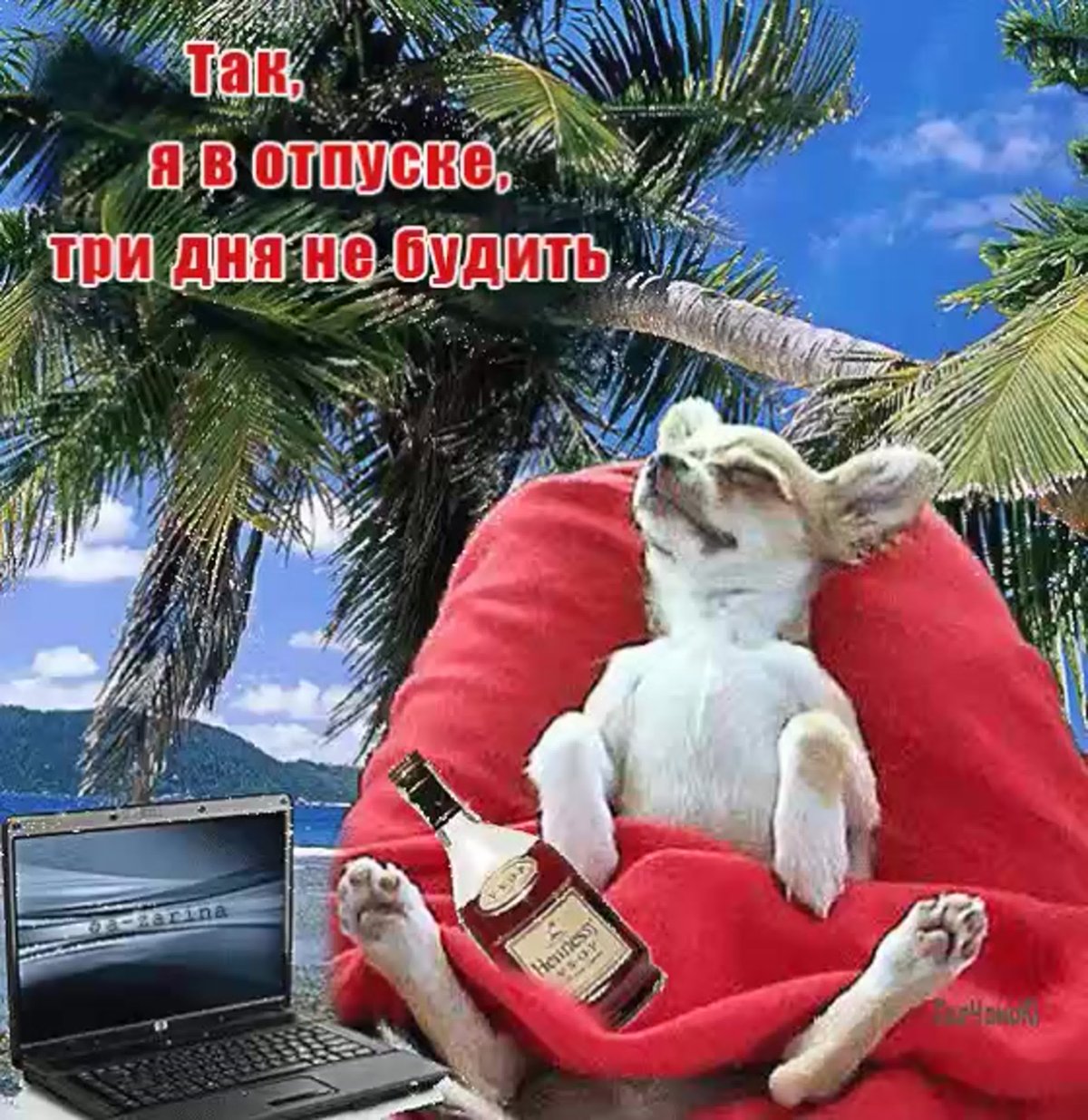 Открытки с отпуском