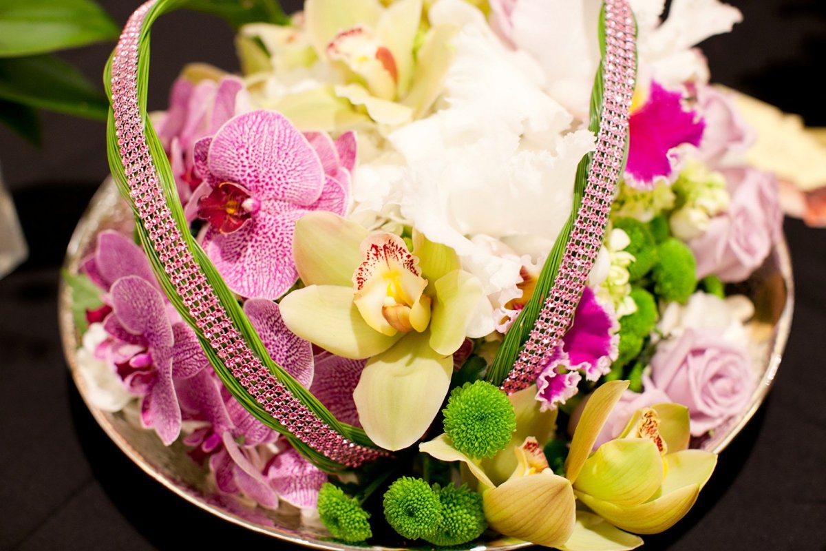 Орхидея бабочка 5053