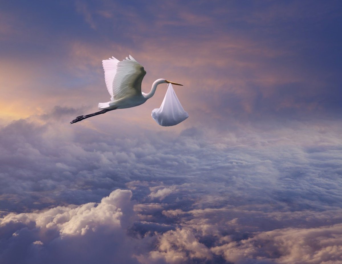 Аист с малышом в клюве