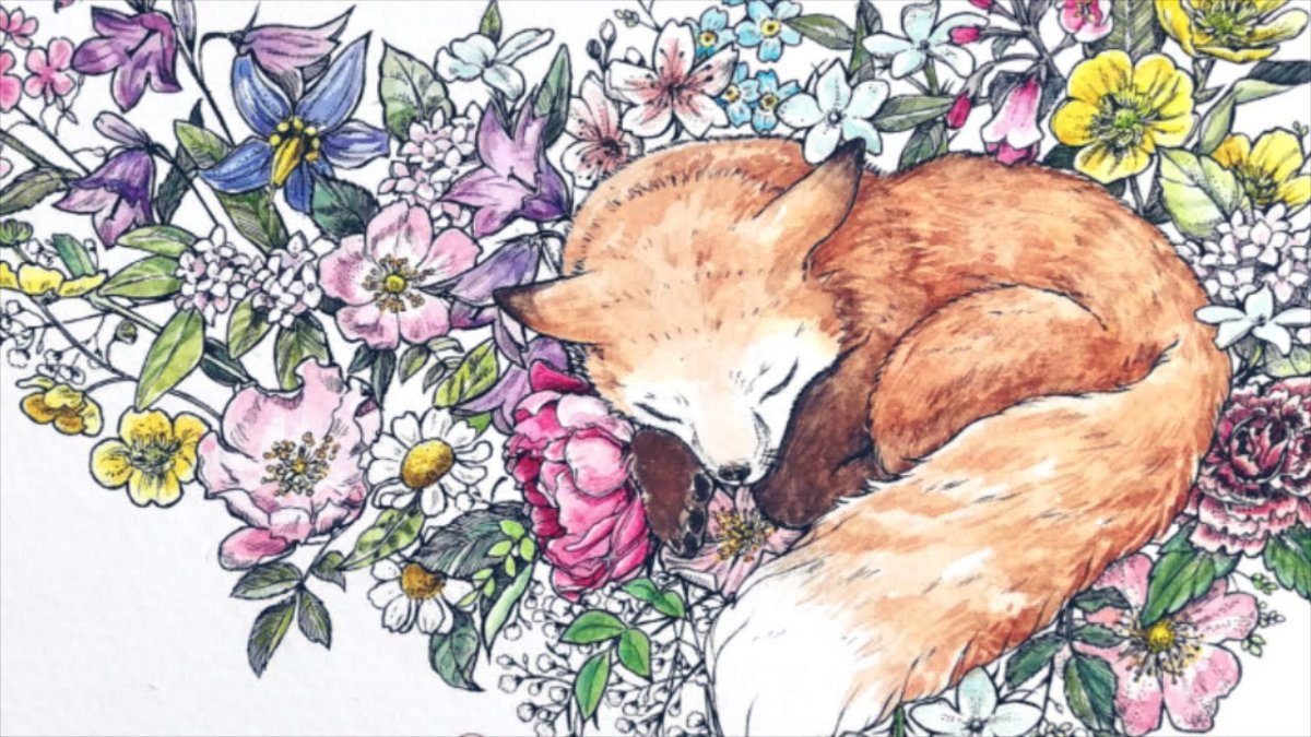 Лиса Джунипер