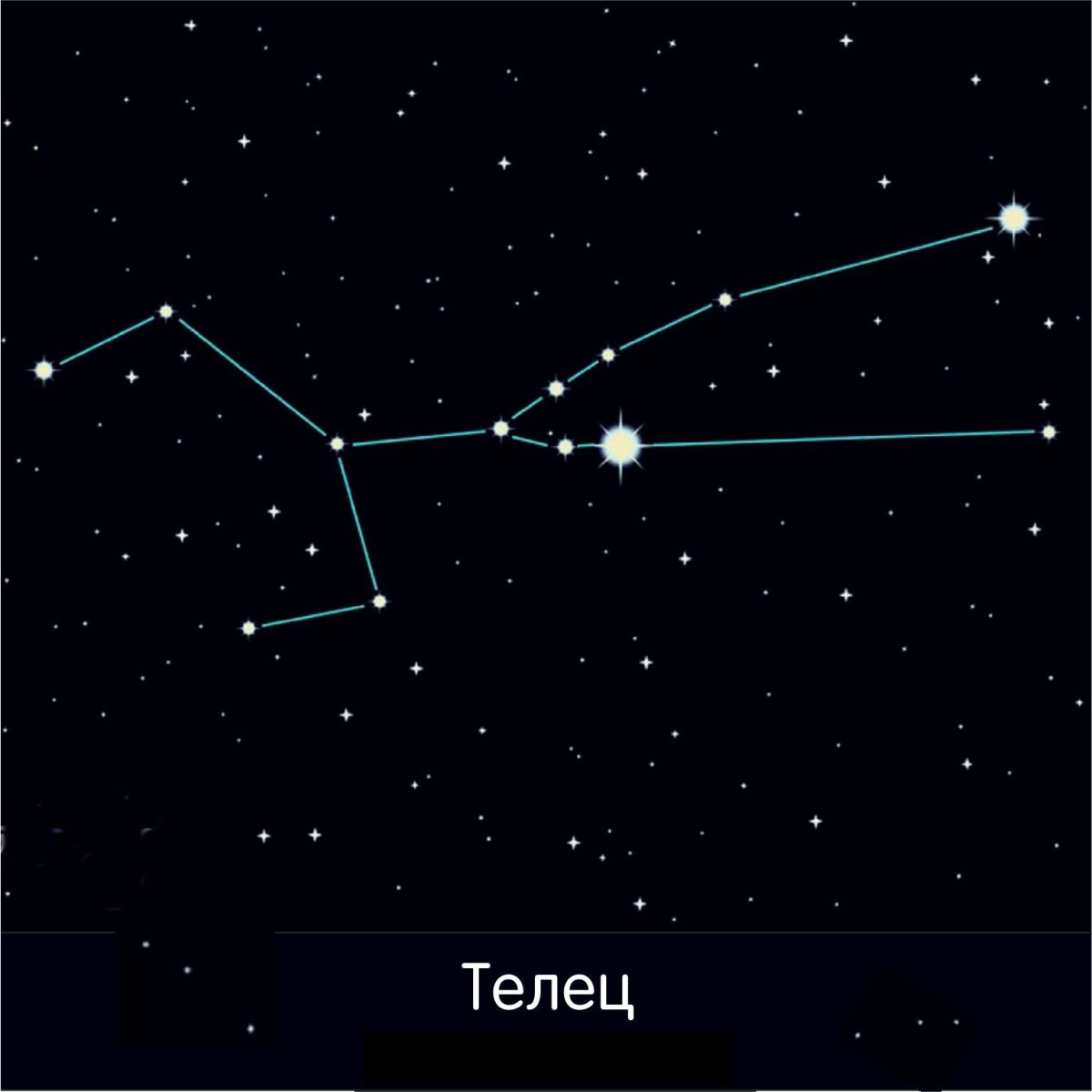 Созвездие тельца на небе схема
