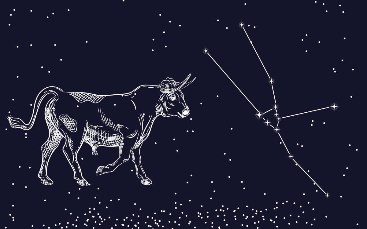 Taurus Созвездие