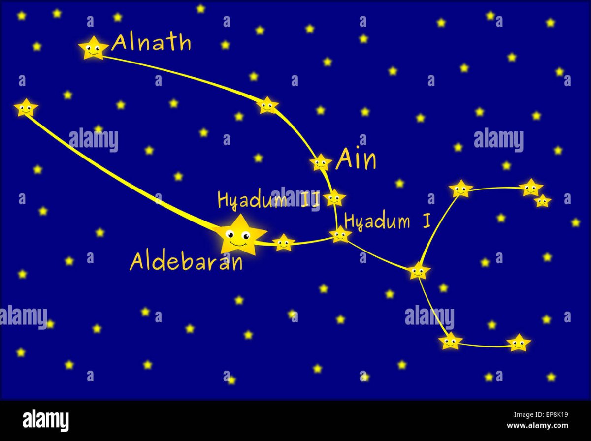 Созвездие Телец тату