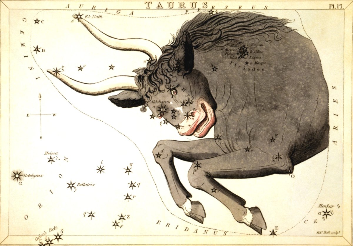 Taurus Созвездие тату