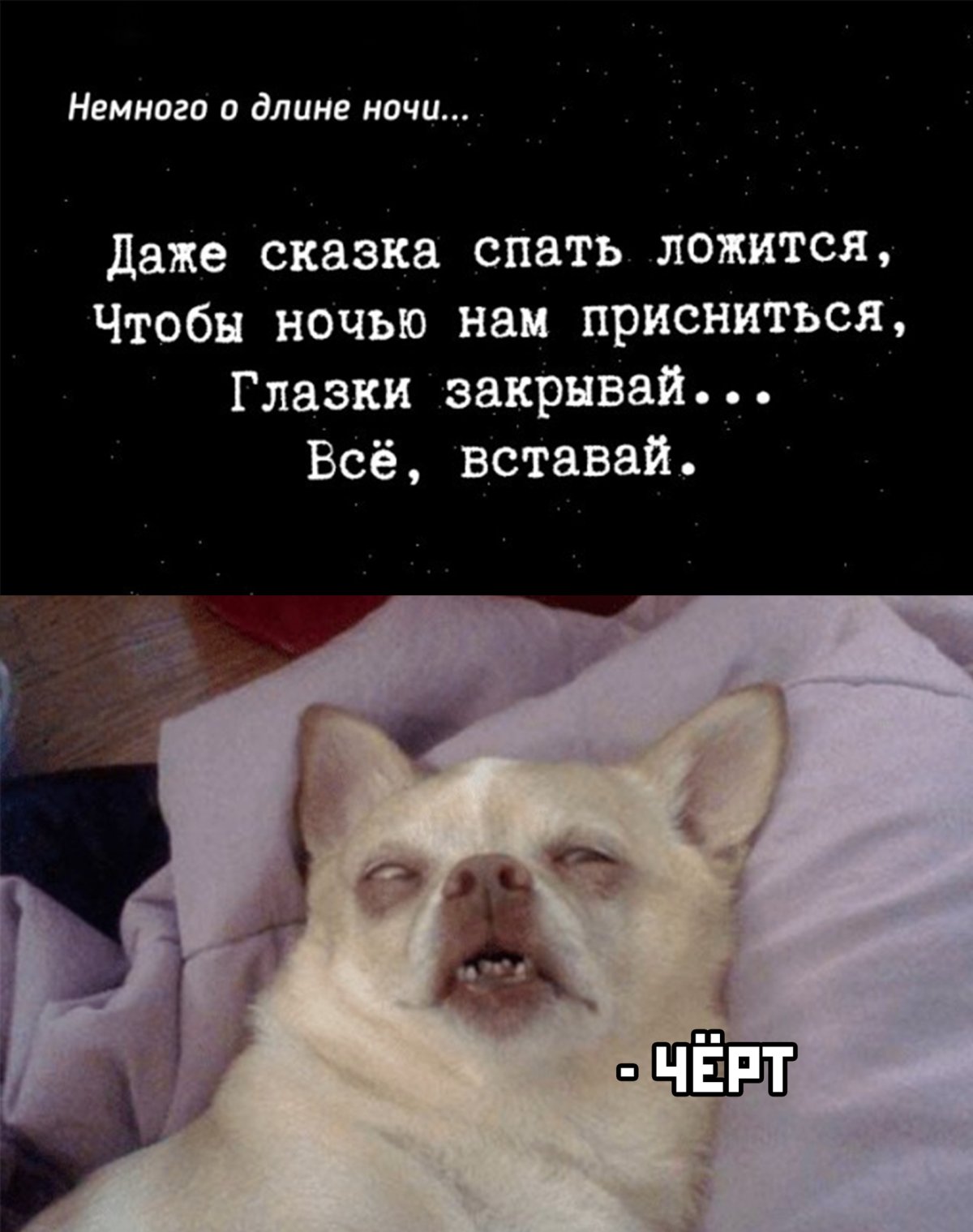 Даче сказка спать Ладида