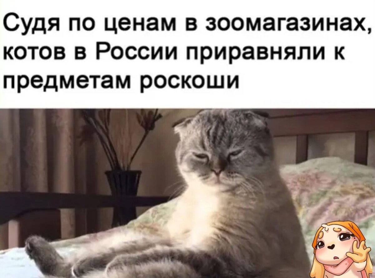 Хочу спать картинки