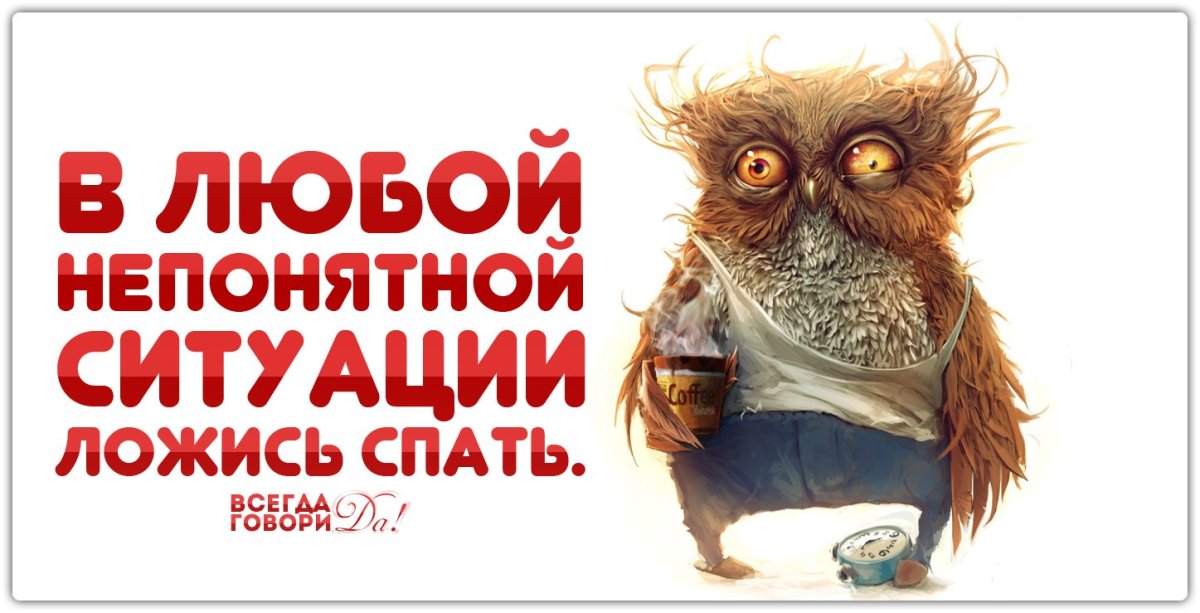 В любой непонятной ситуации ложитесь спать