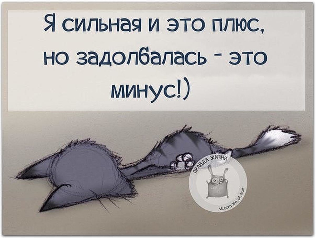 Цитаты про сон смешные