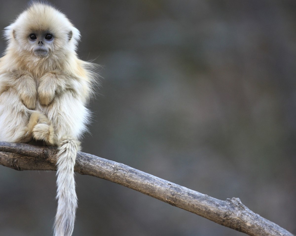 Позитивные фразы