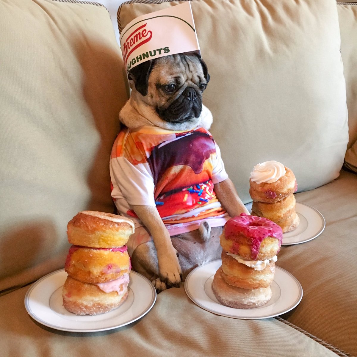 Суслики смешные