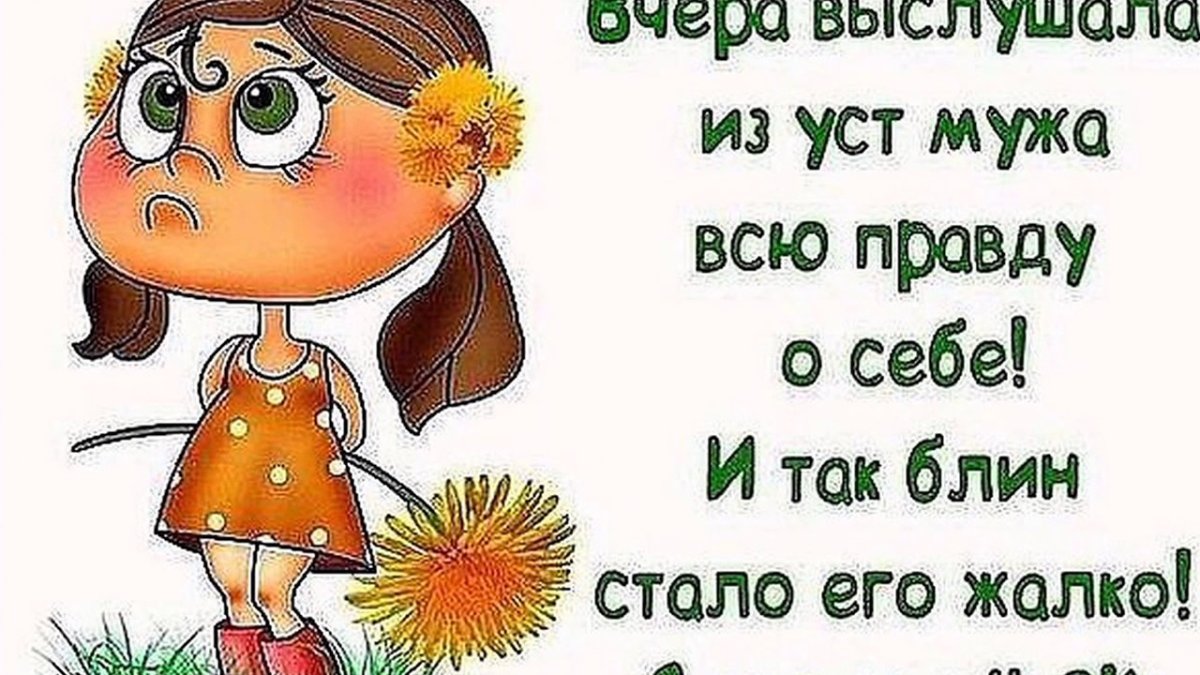 Гулять с собакой смешное