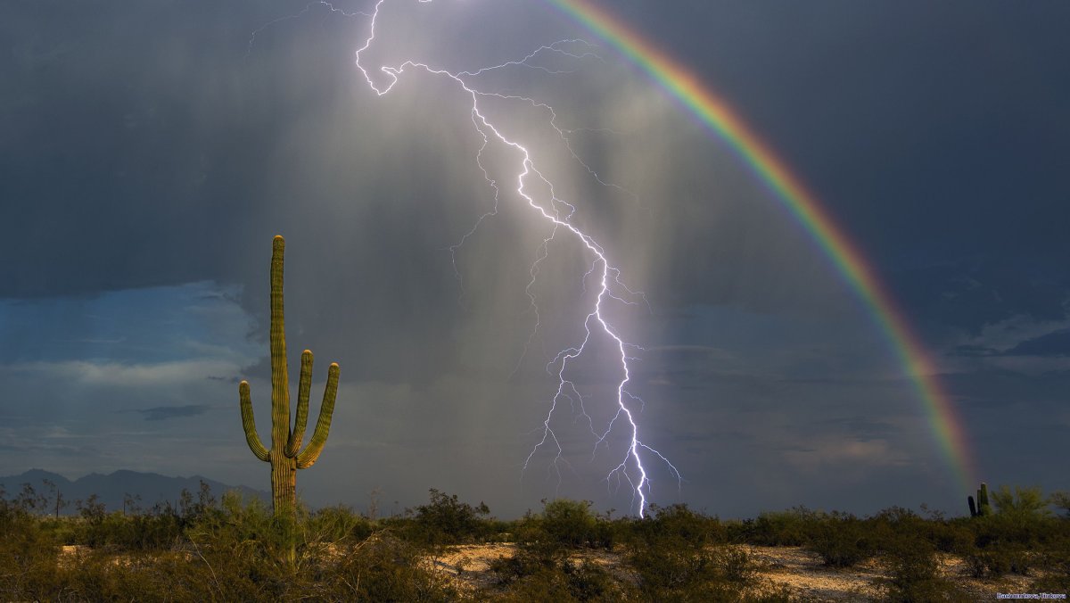 Природные явления