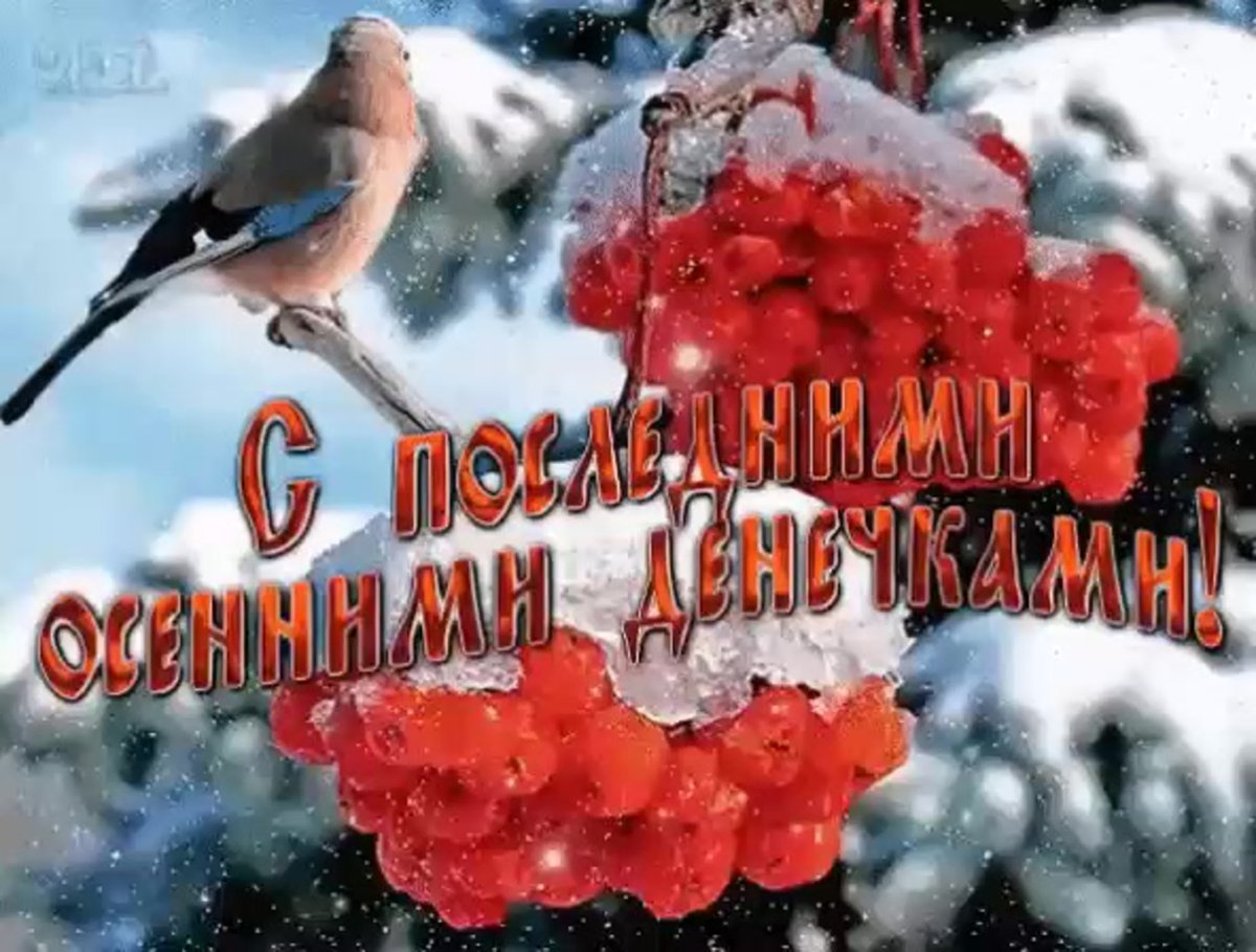 Поздравление с первым днем зимы