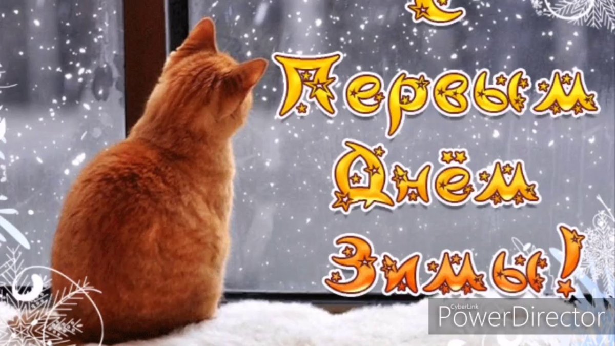 Снежное утро понедельника