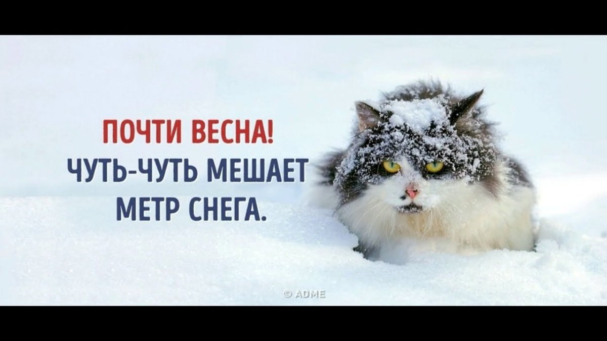 Отличного последнего дня зимы