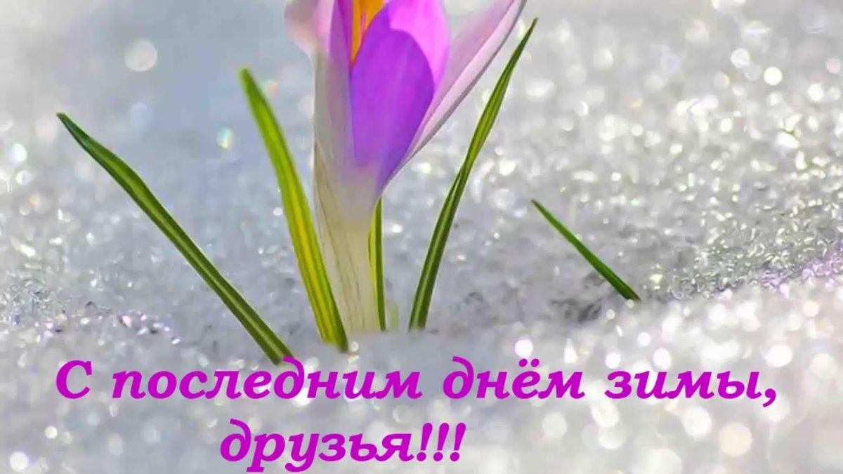 Первый снег