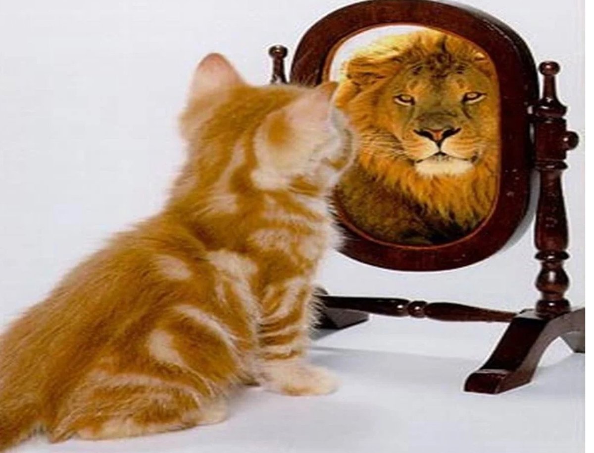 Кот в зеркале Лев