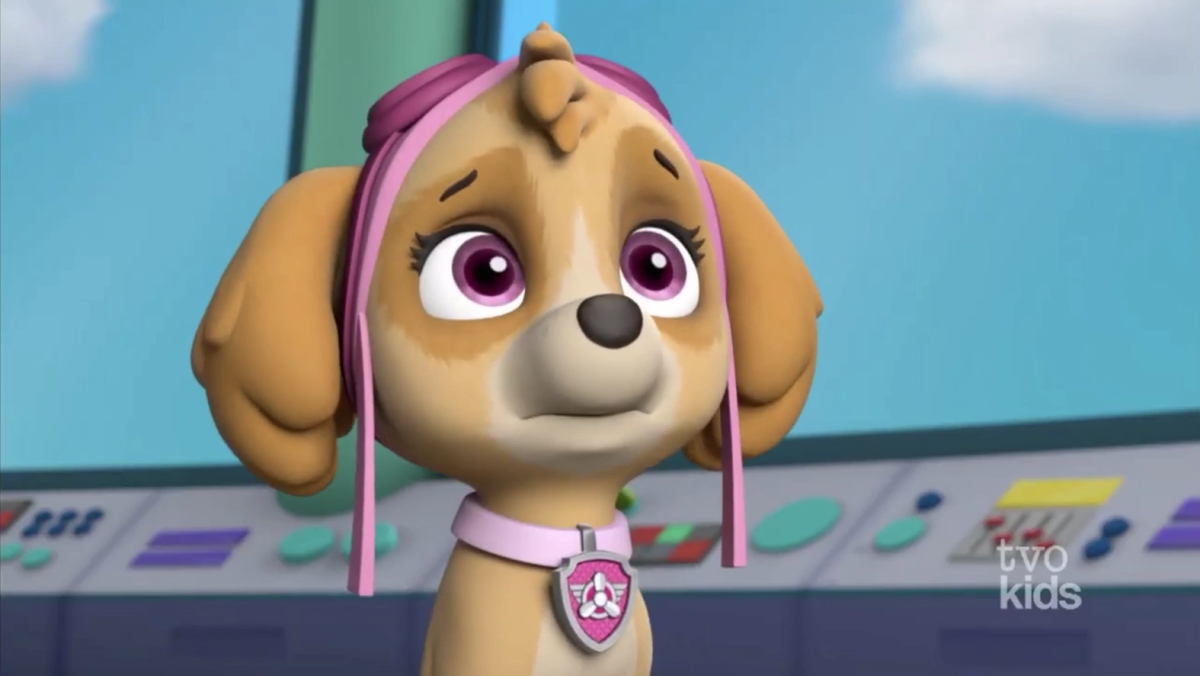 Книга Скай Щенячий патруль