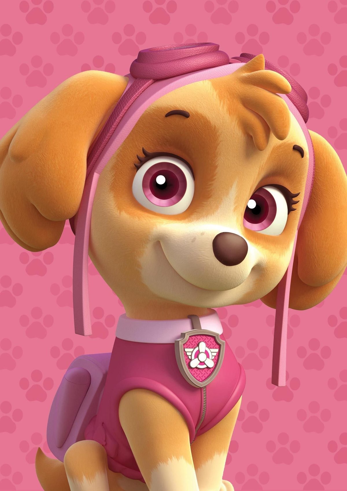 Скай зик Щенячий патруль