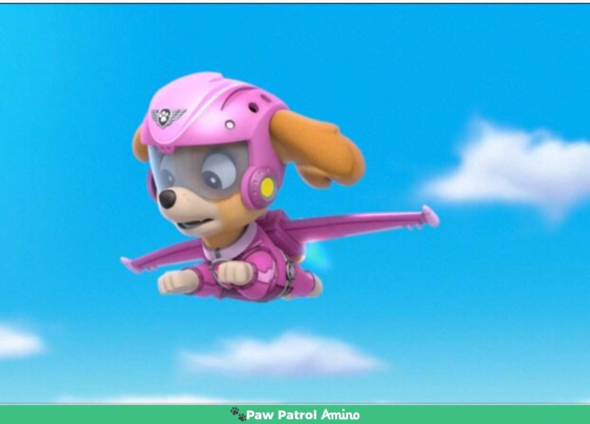 Paw Patrol Chase and Skye