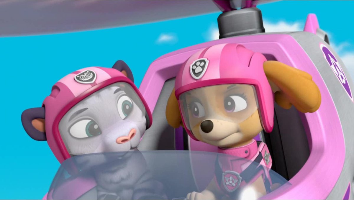 Скай Щенячий патруль порода