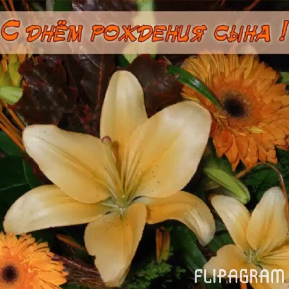 Поздравление срождение сына