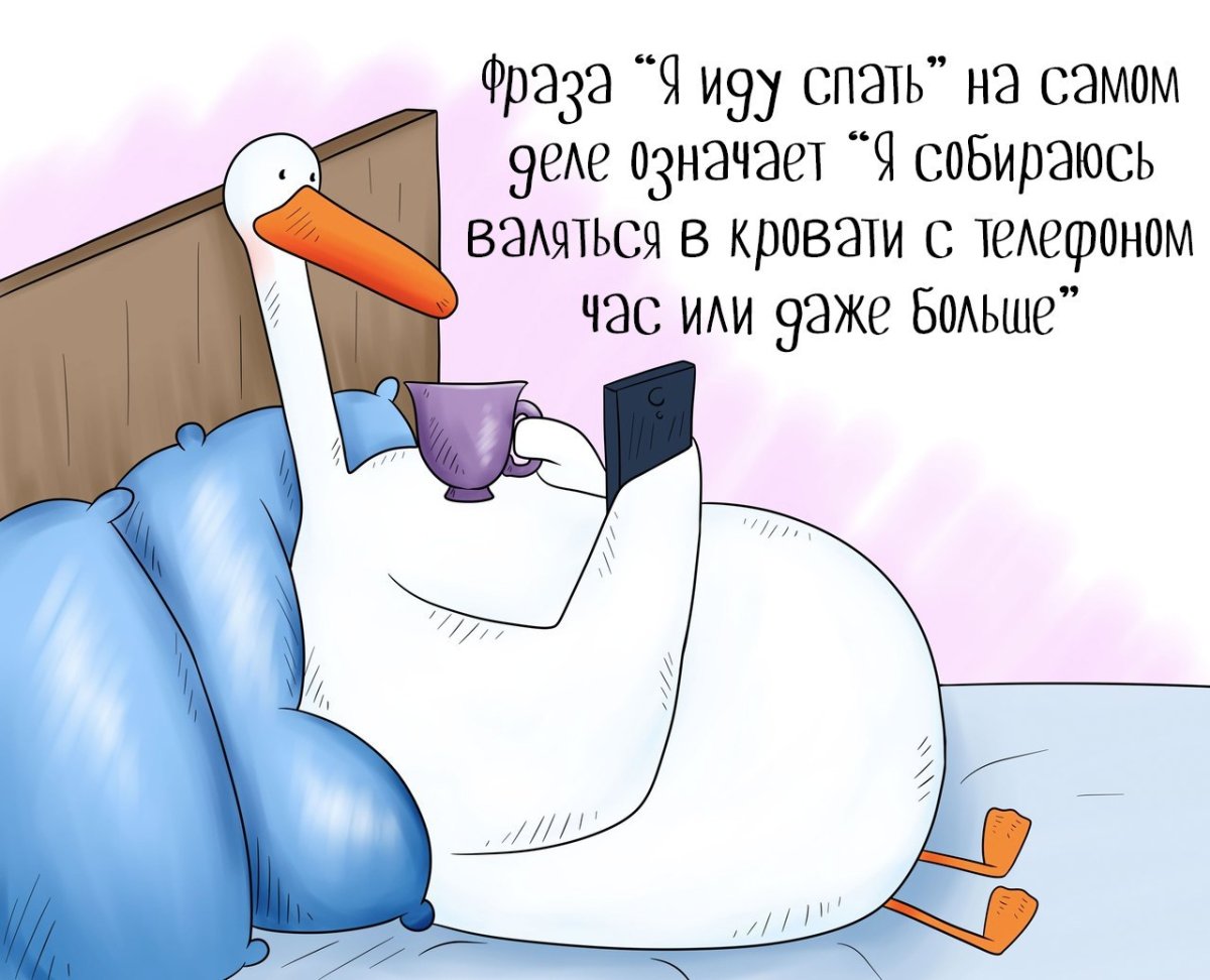 Спокойной ночи с юмором