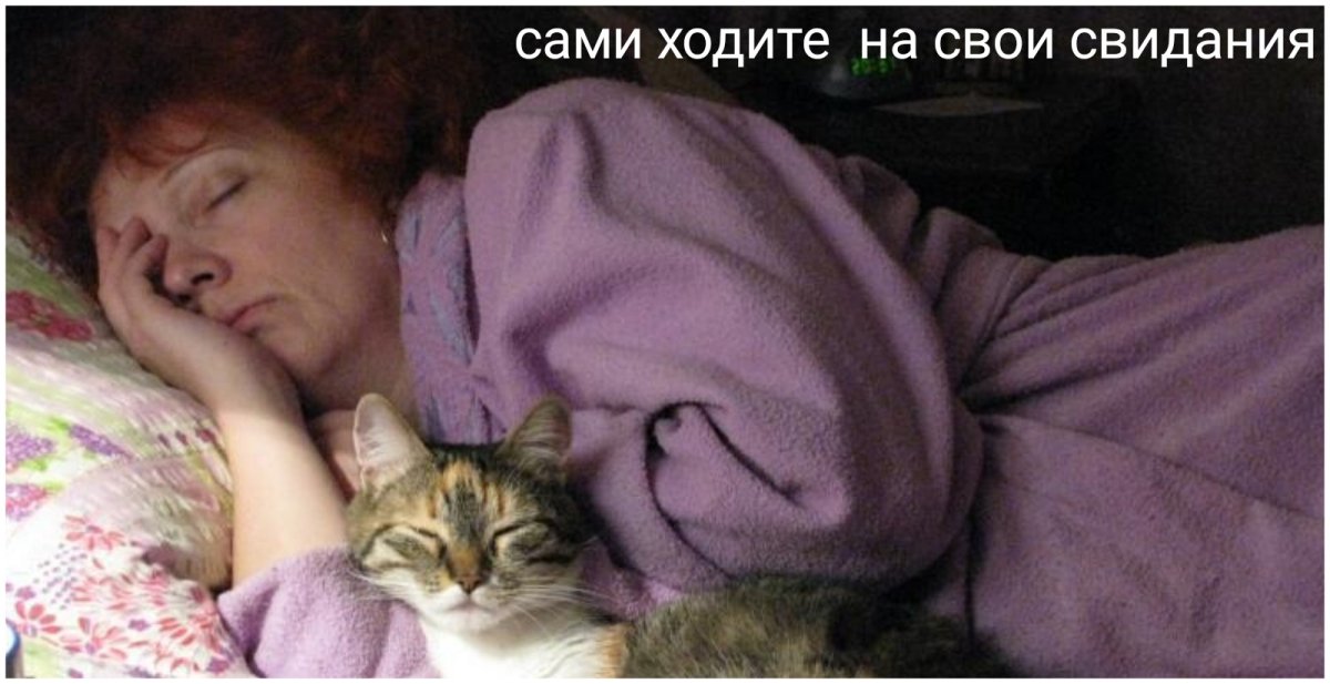Спокойной ночи Котоматрица
