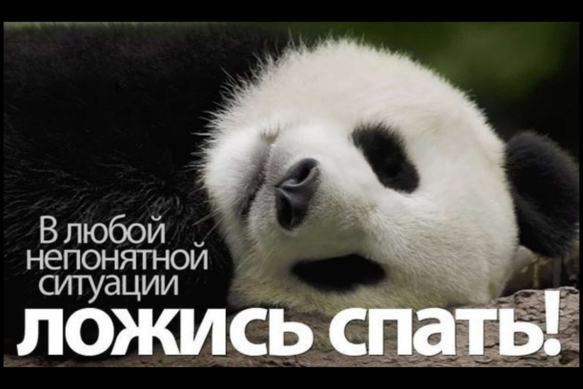 Спать целый день